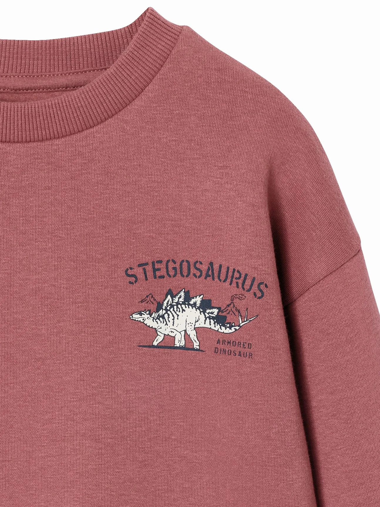 VERTBAUDET Lot de 2 Sweats Cool and Fun
