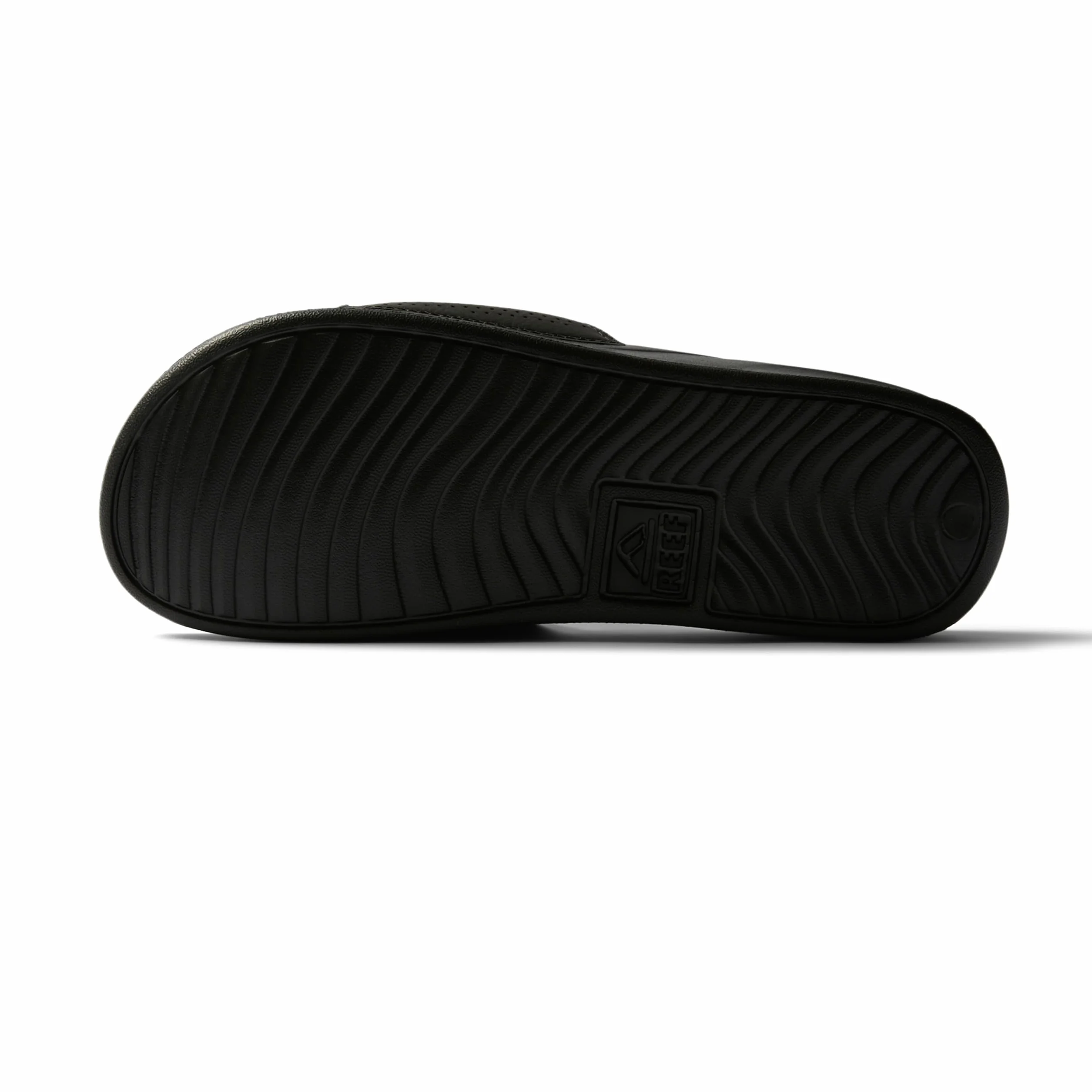 REEF One Slide