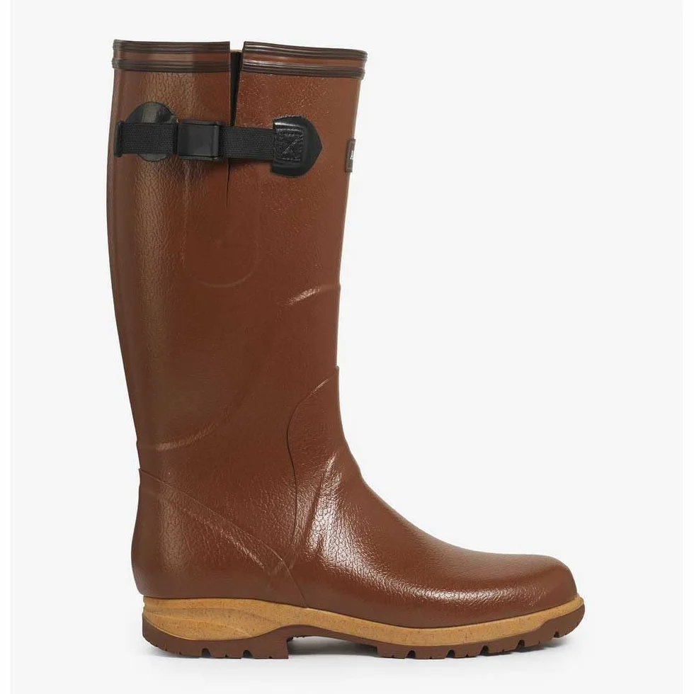 Aigle Terra Pro Vario Botte haute Homme