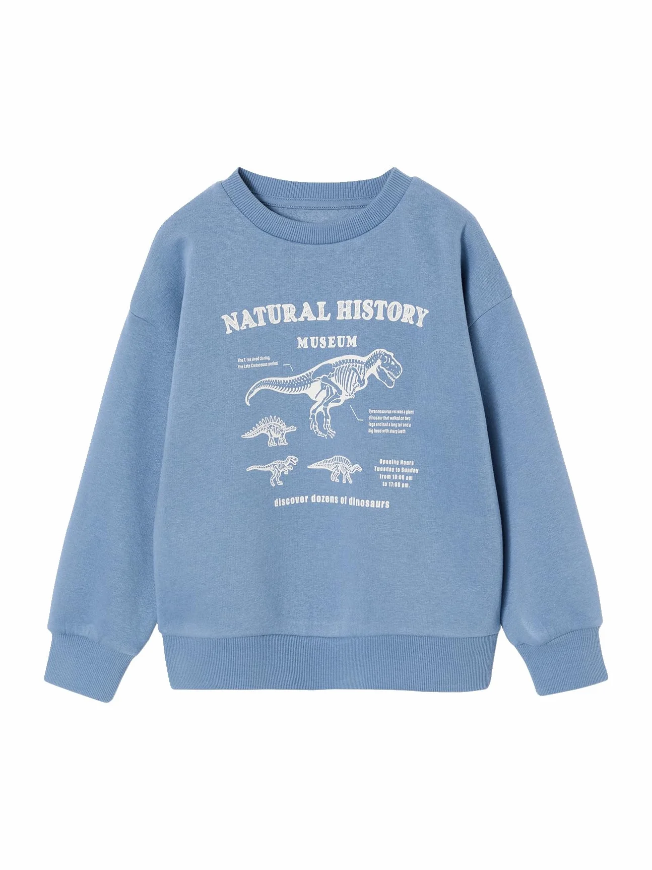 VERTBAUDET Lot de 2 Sweats Cool and Fun